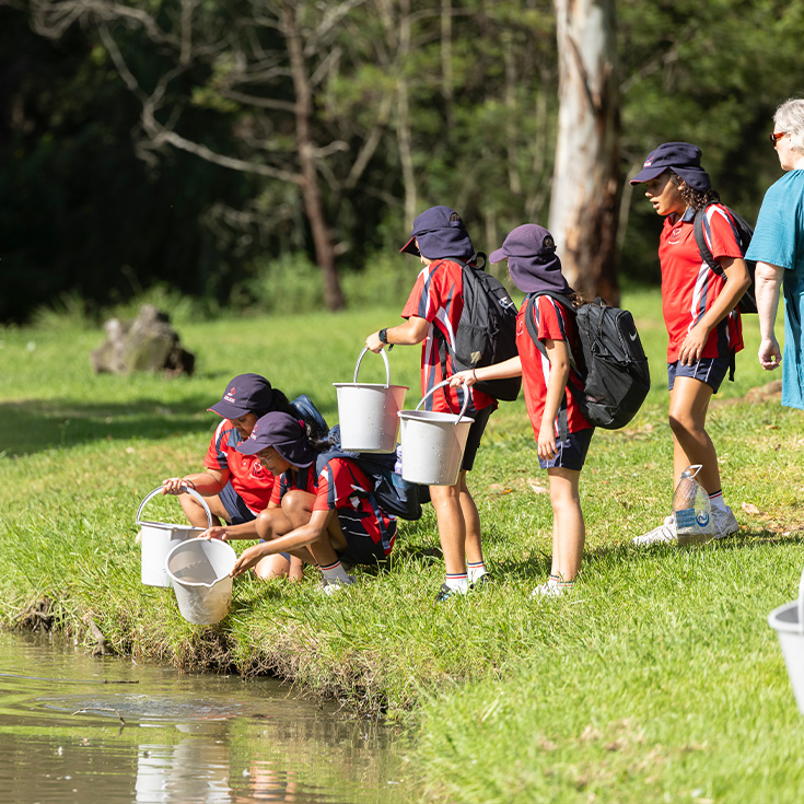 Sacred Heart Catholic Primary Westmead students